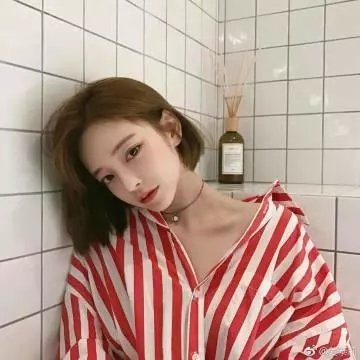 狗狗的旅程